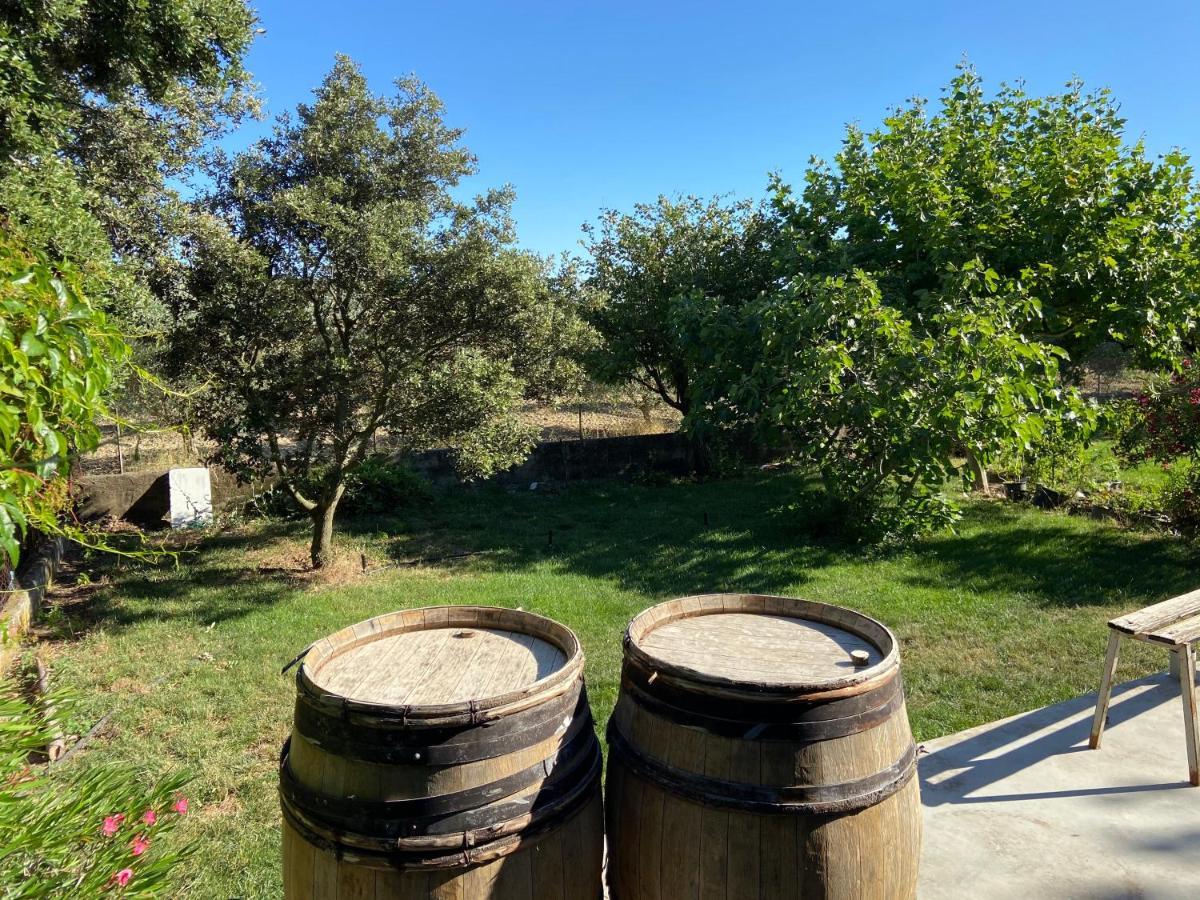 Gite A La Ferme Clansayes ภายนอก รูปภาพ